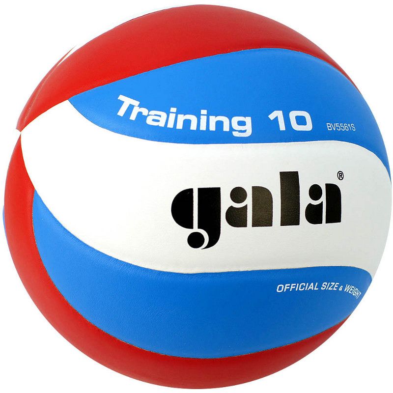 Мяч волейбольный Gala Training 10