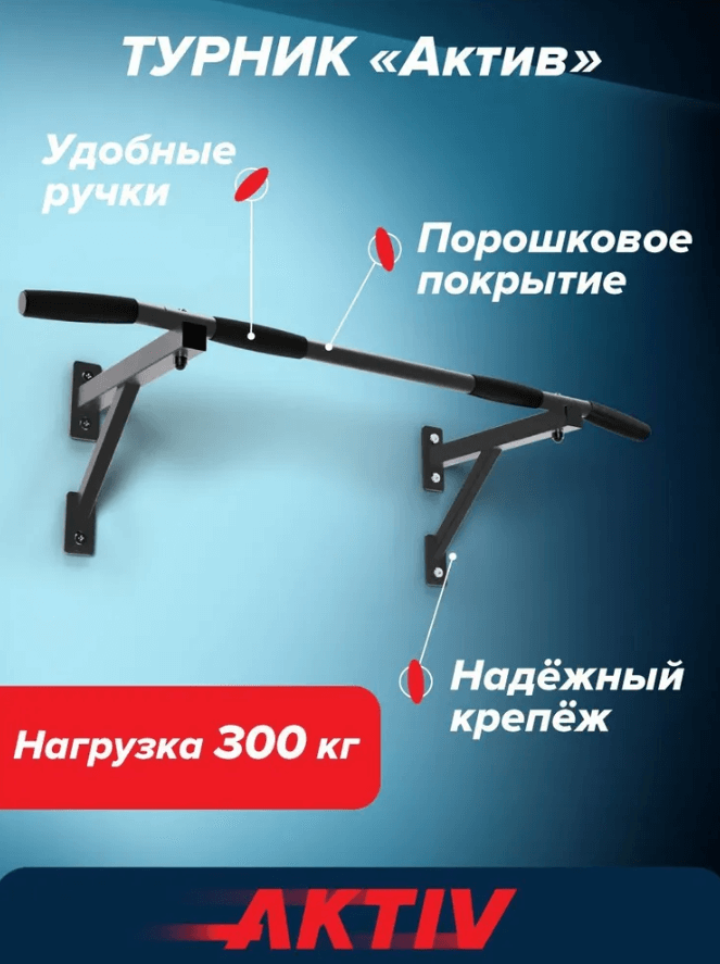 Турник настенный Aktiv разборный графит Absolute Brilliance
